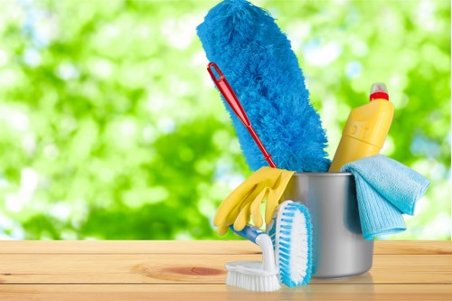 Professional carpet cleaning service in an Edgware home setting
