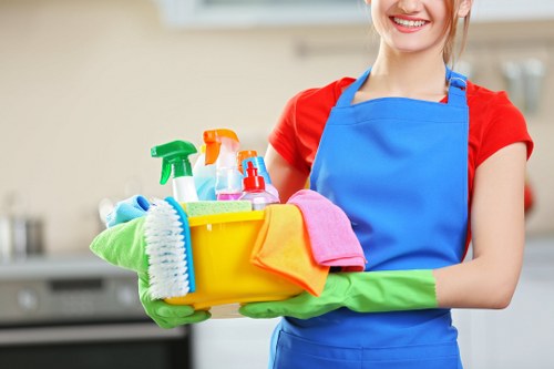 Professional oven cleaning service in an Edgware home kitchen