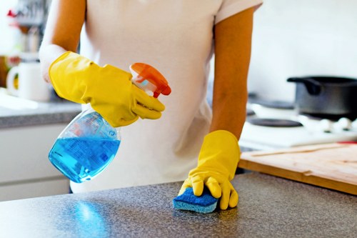 Professional office cleaners handling washrooms and communal spaces