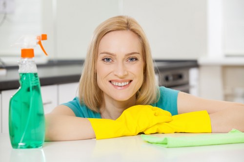 Pet stain odour removal service for a sofa in Edgware