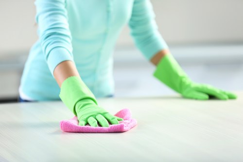 Domestic cleaner working in a modern Edgware flat