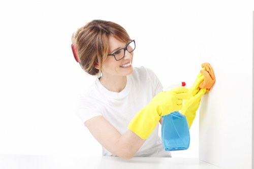 Local technician treating a pet stain on upholstery in Edgware