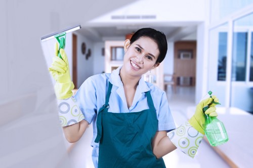 Detailed post-construction cleaning in a modern kitchen