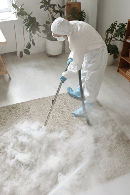A professional cleaner dressed in full protective gear, including a white coverall, gloves, mask, and shoe covers, using a steam cleaning machine on a beige area rug in a bright living room. The room features white walls, a window with natural light, potted plants, and wooden furniture. The surface being cleaned appears wet and steam is visible, indicating deep cleaning and sanitisation processes. The company's name, Edgware Cleaners, is associated with this domestic cleaning service focused on surface and carpet cleaning in a residential setting.