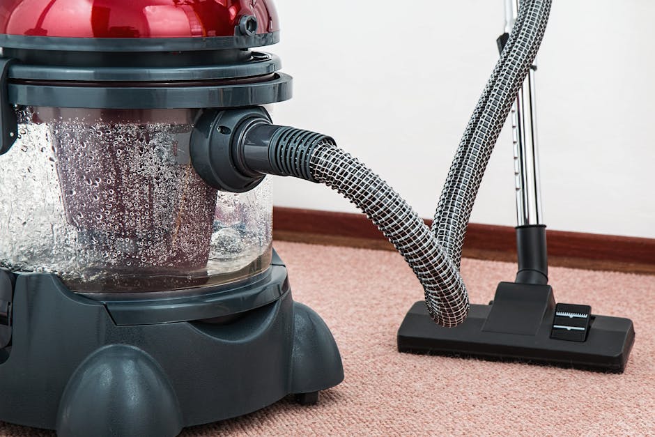 A professional cleaner dressed in full protective gear, including a white coverall, gloves, mask, and shoe covers, using a steam cleaning machine on a beige area rug in a bright living room. The room features white walls, a window with natural light, potted plants, and wooden furniture. The surface being cleaned appears wet and steam is visible, indicating deep cleaning and sanitisation processes. The company's name, Edgware Cleaners, is associated with this domestic cleaning service focused on surface and carpet cleaning in a residential setting.
